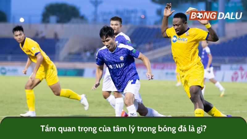 Tầm quan trọng của tâm lý trong bóng đá là gì?