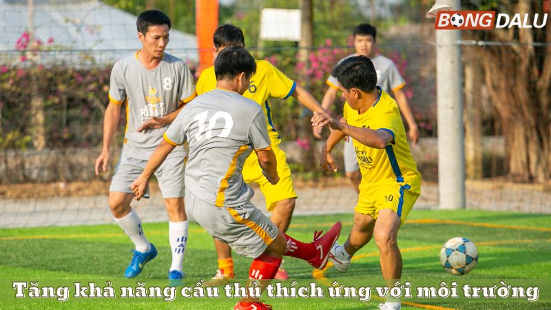 Tăng khả năng cầu thủ thích ứng với môi trường