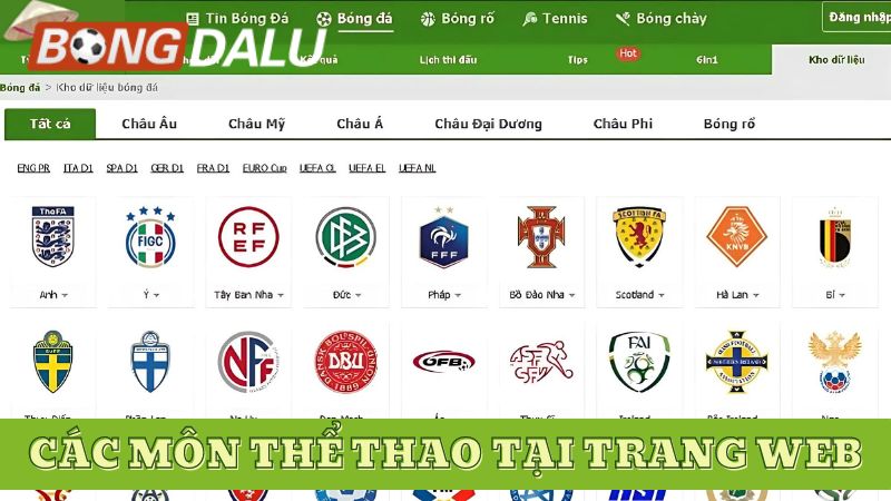 Các bộ môn thể thao có tại trang web