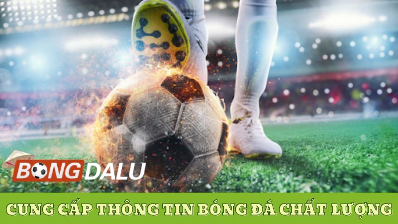 Cung cấp thông tin bóng đá chất lượng