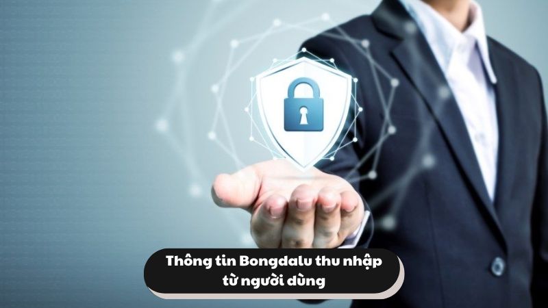 Cách Bongdalu thu thập thông tin từ người dùng