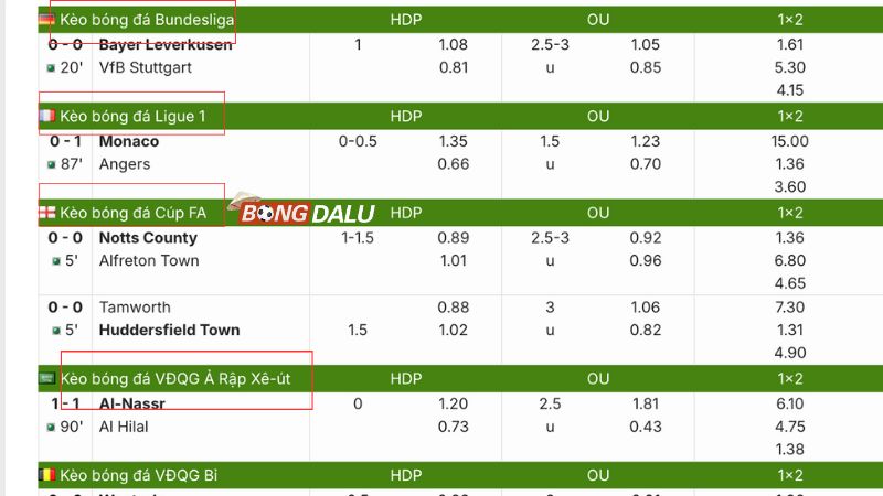 Bongdalu cập nhật kèo bóng đá những giải đấu nào?