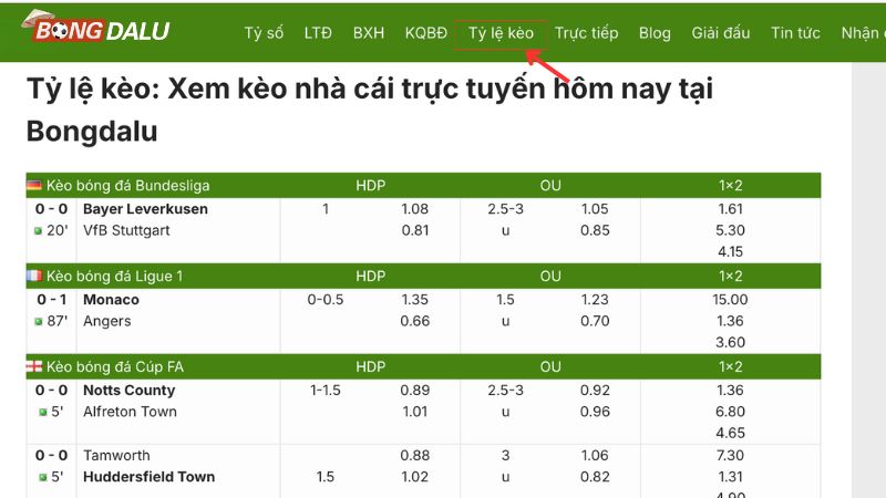 Huong dan xem ty le cuoc truc tuyen tai Bongdalu